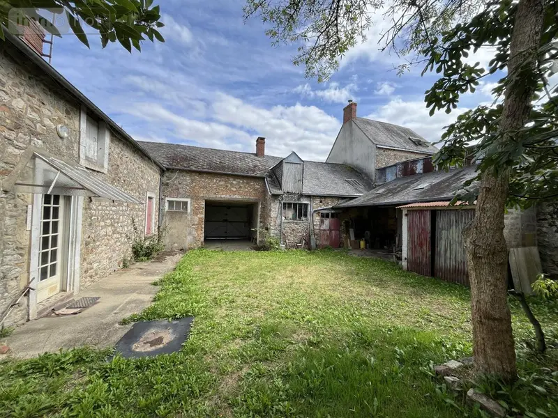 photos