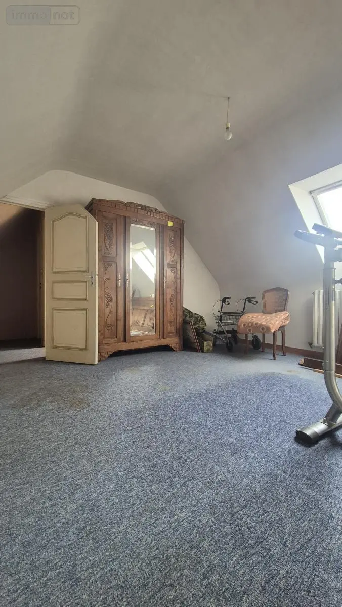 photos