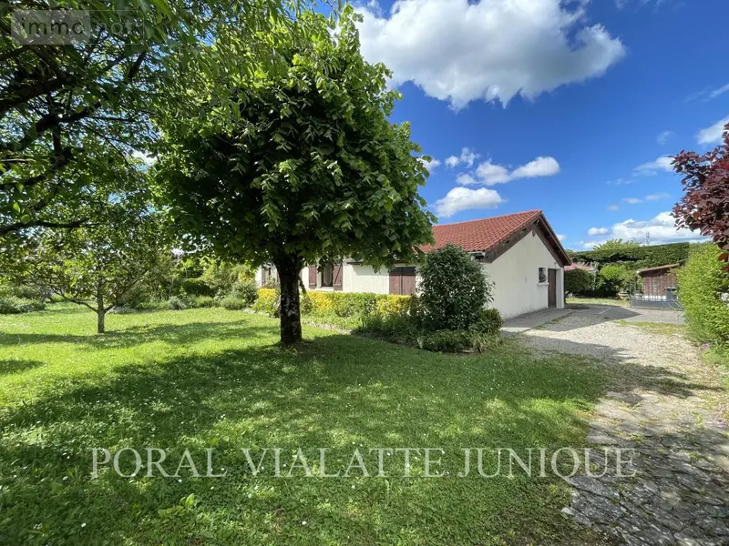photos