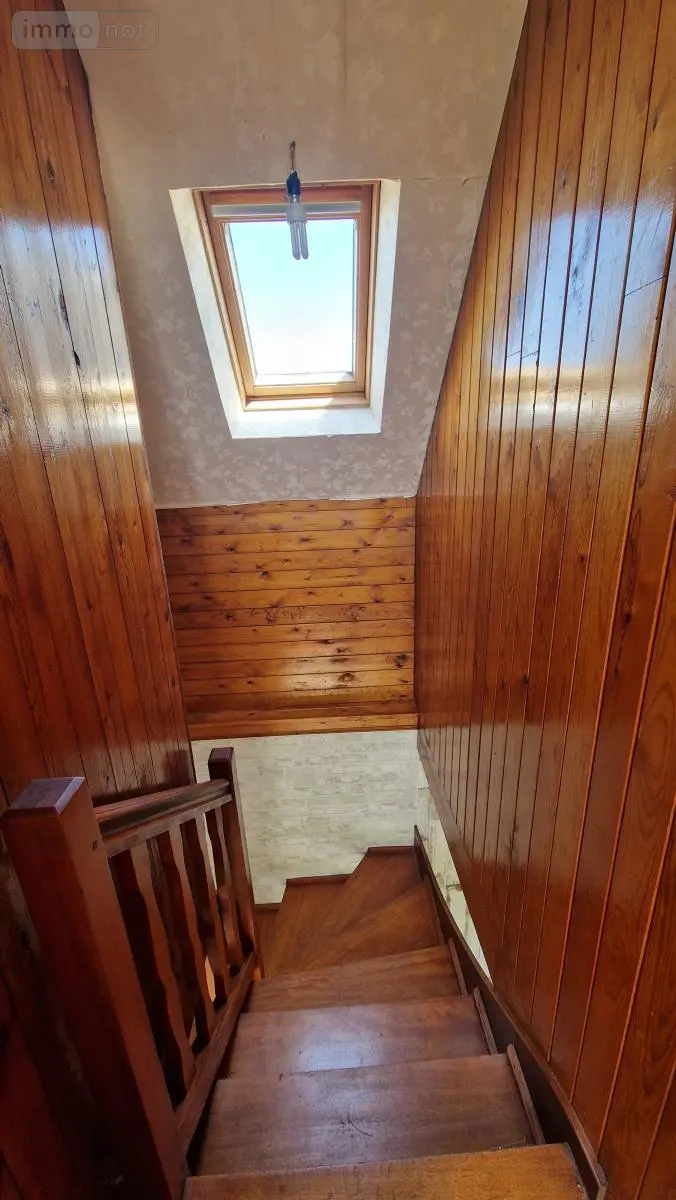 photos