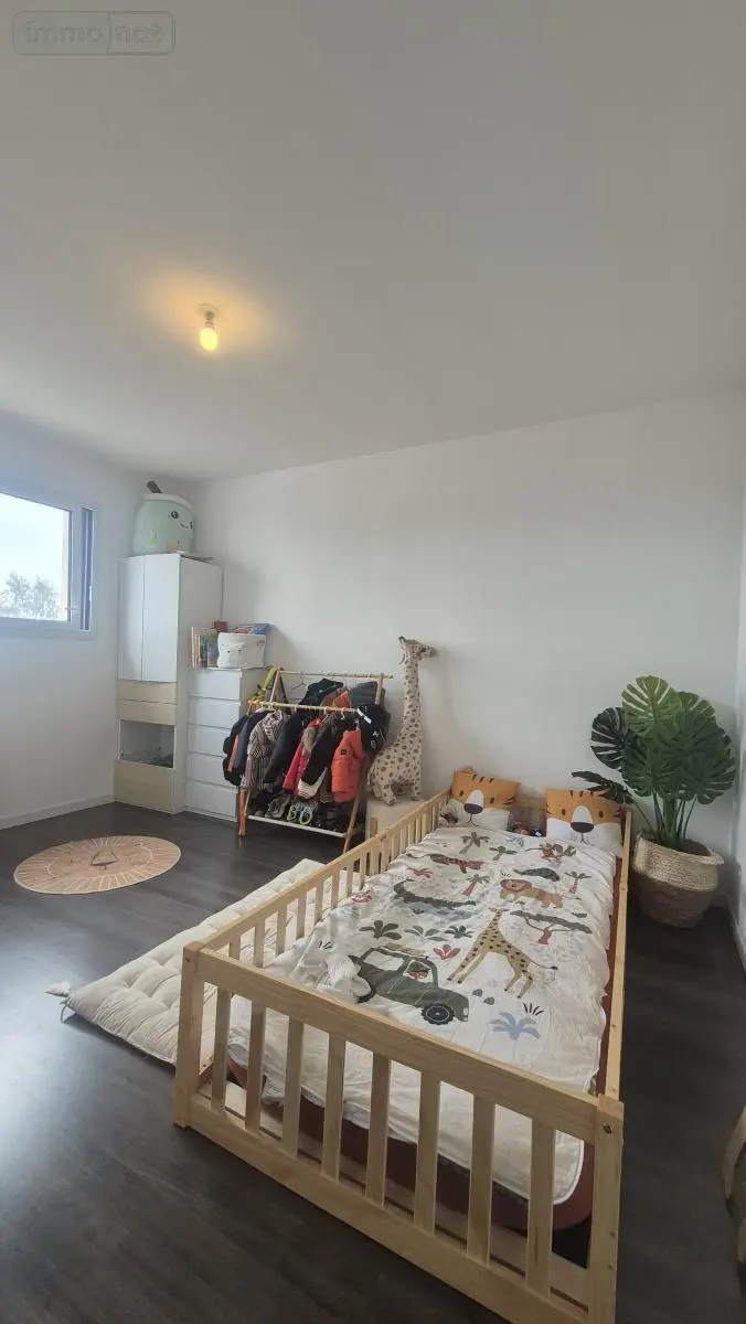 photos