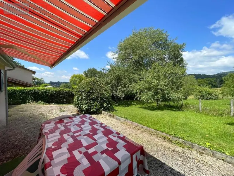 photos
