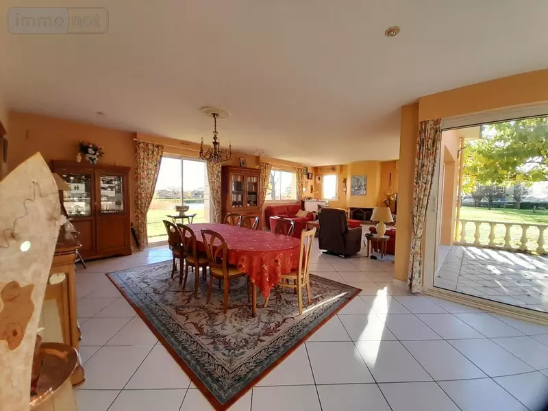 photos