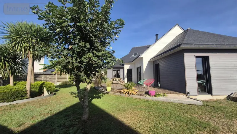 photos