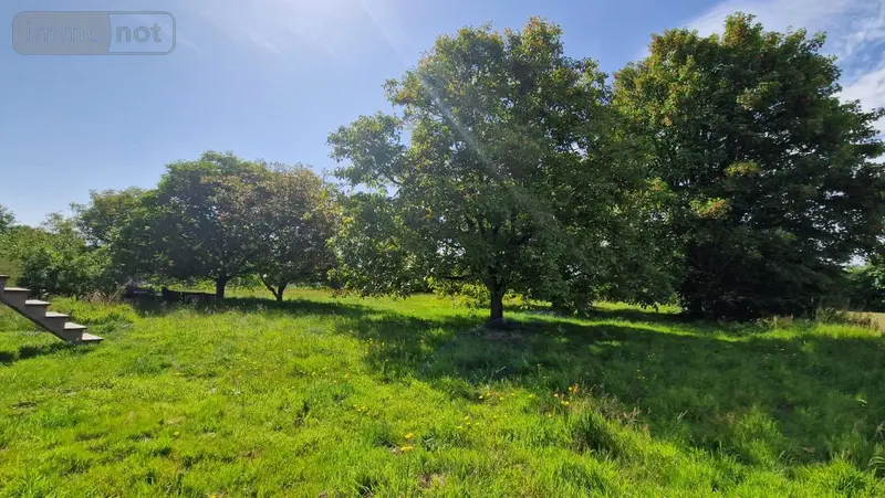 photos