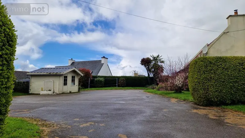 photos
