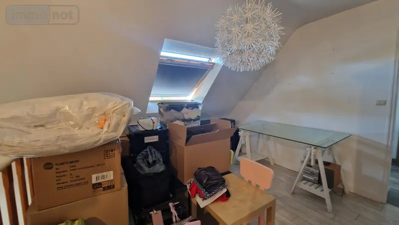 photos