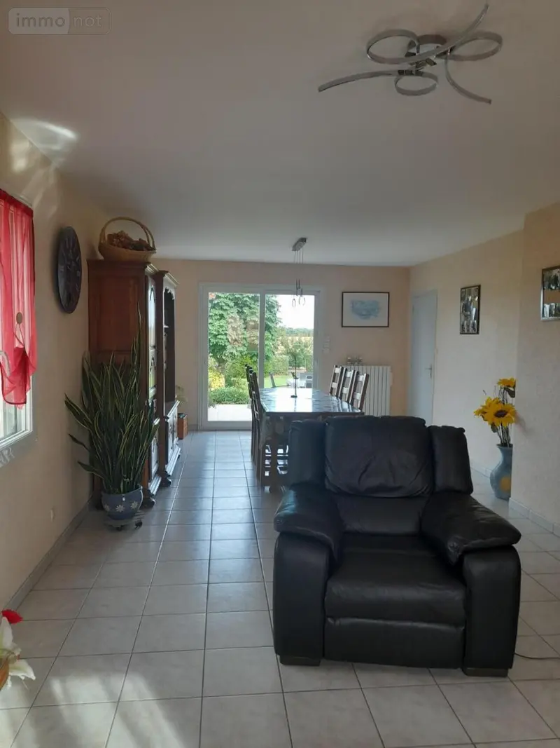 photos