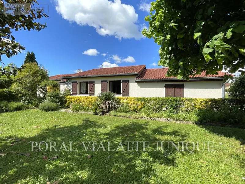 photos
