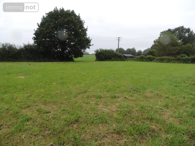 photos