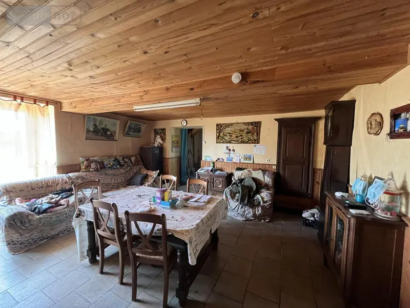 photos