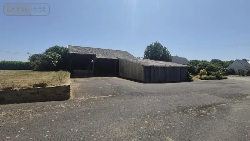 photos