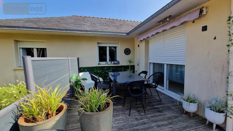 photos