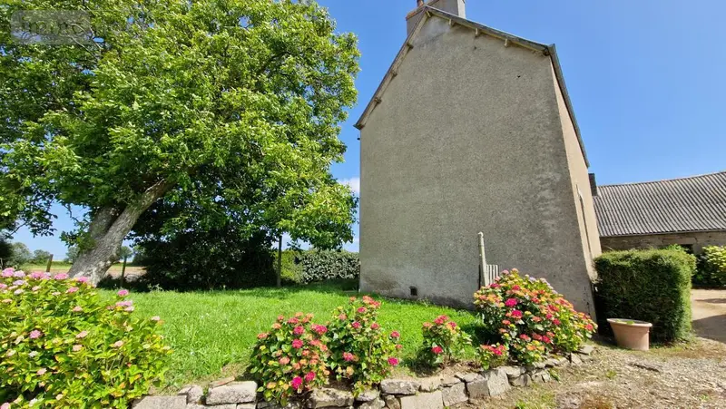 photos