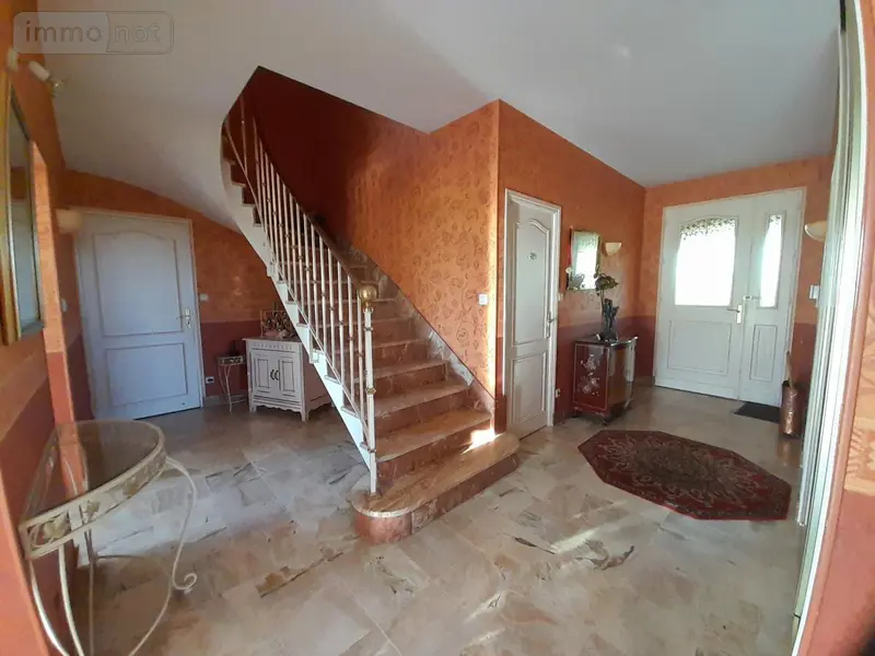 photos