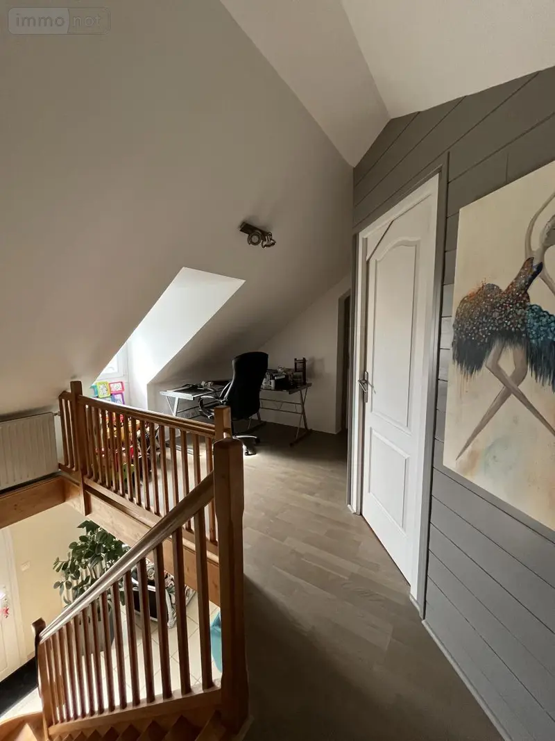 photos