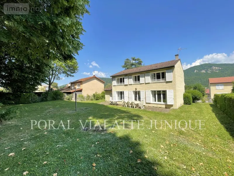 photos