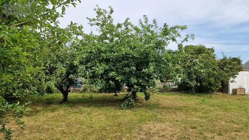 photos