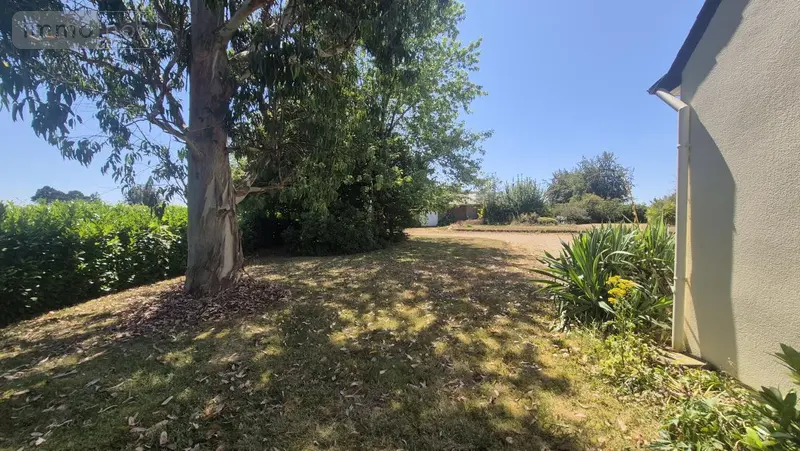 photos
