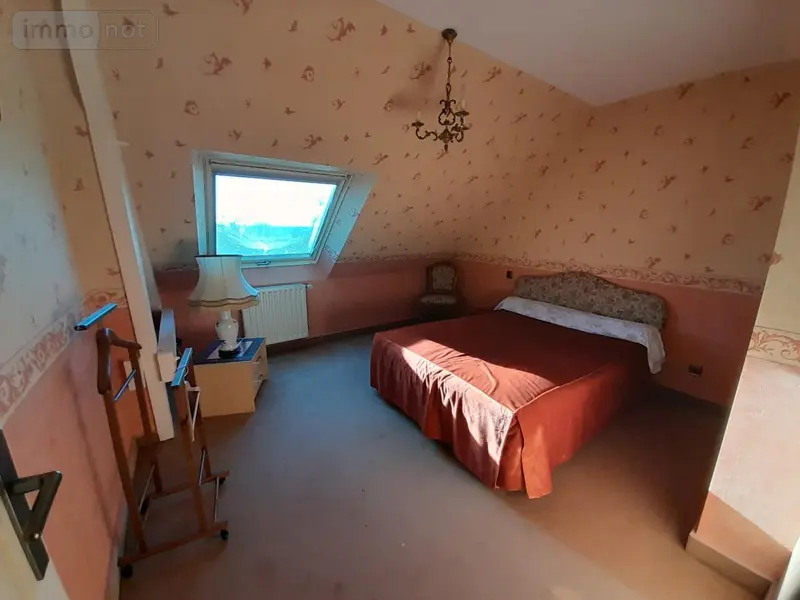 photos
