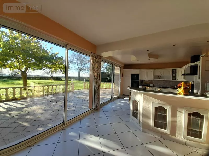 photos