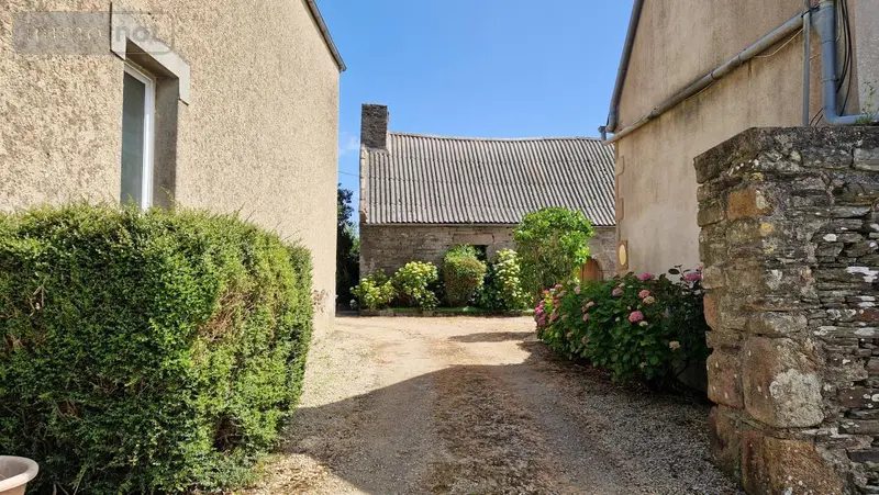 photos