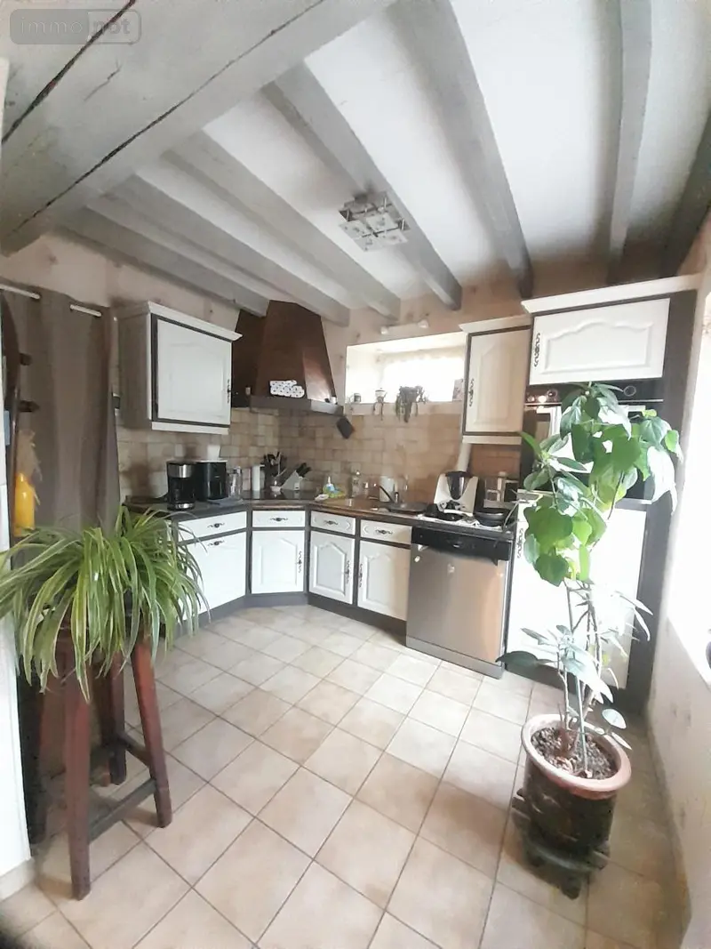 photos