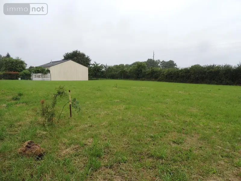 photos