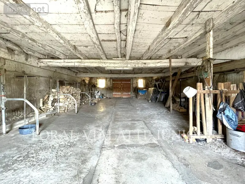 photos
