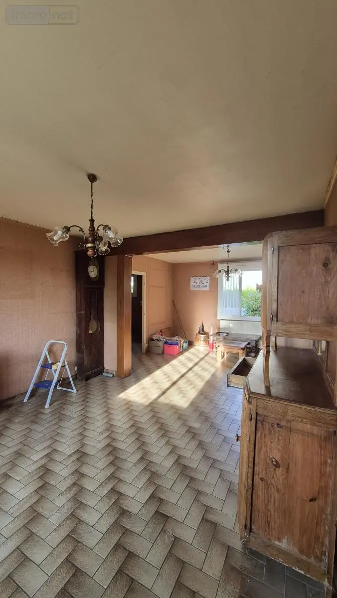 photos