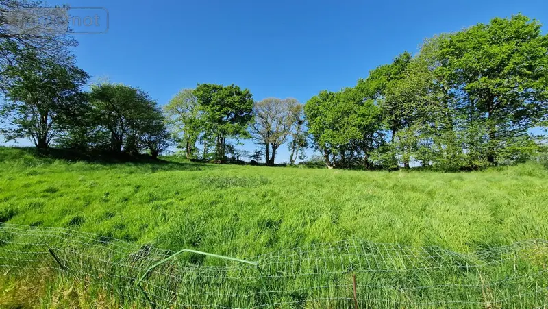 photos