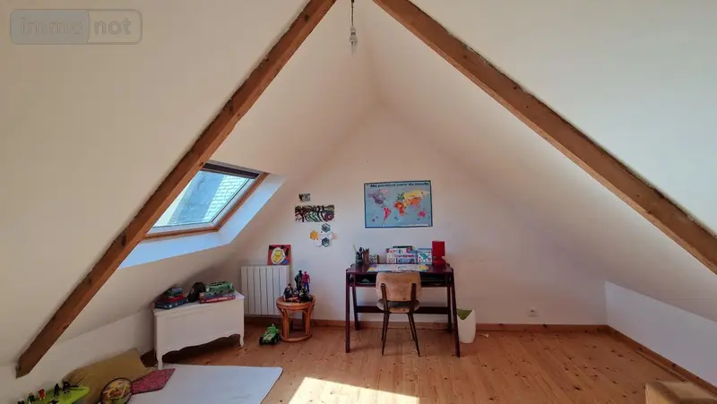 photos