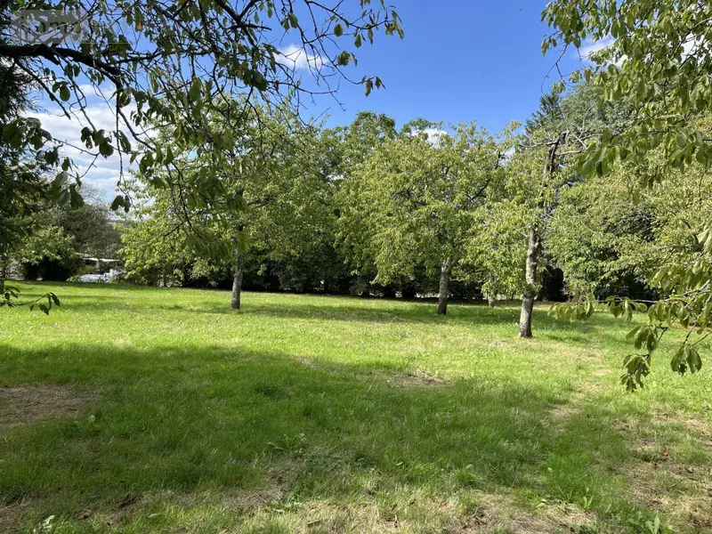 photos
