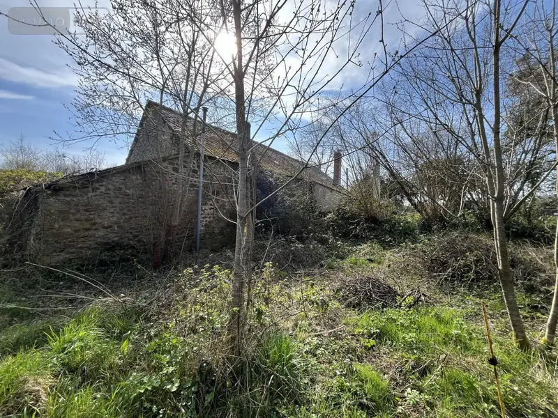 photos