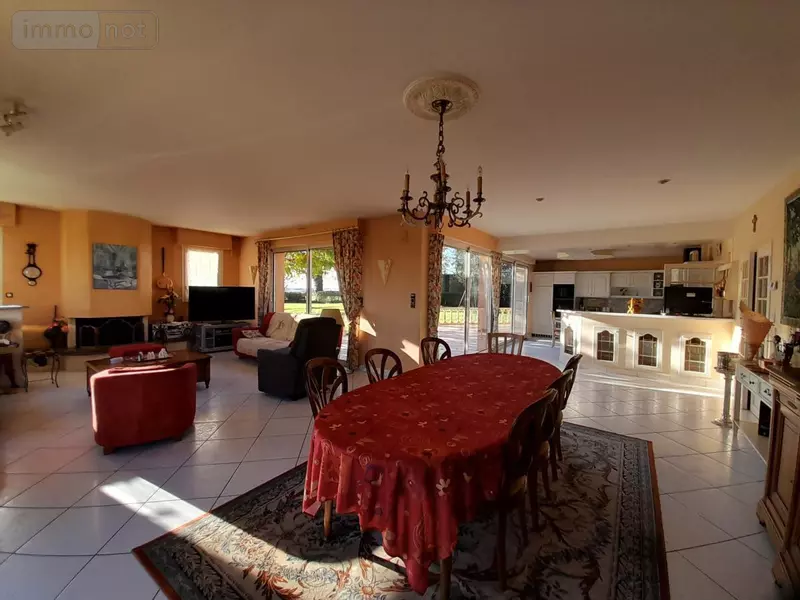 photos