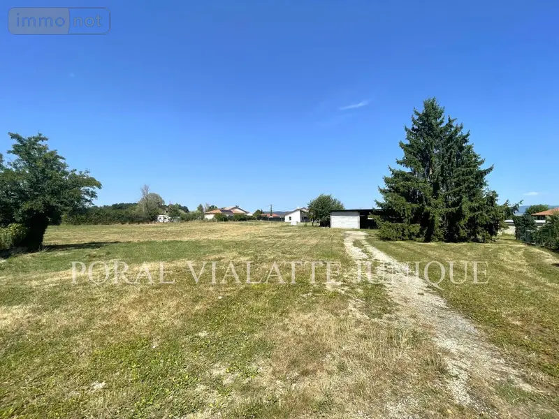 photos