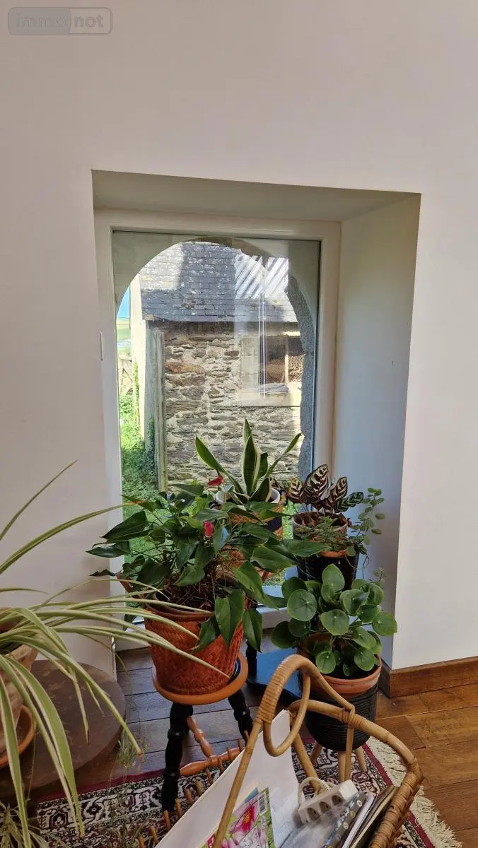 photos