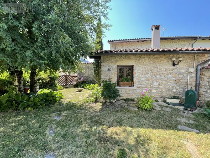 photos