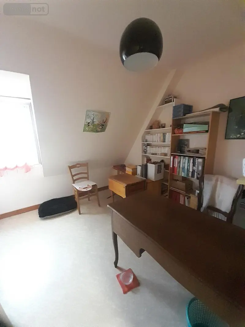 photos
