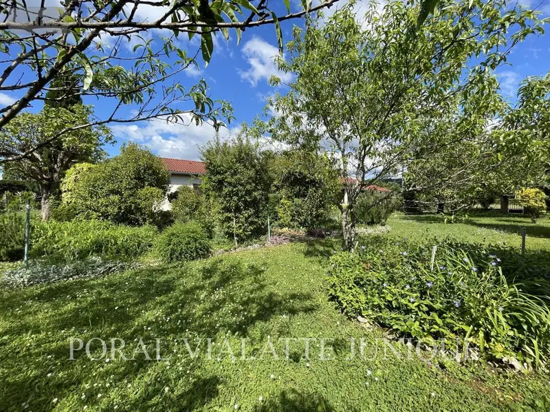 photos