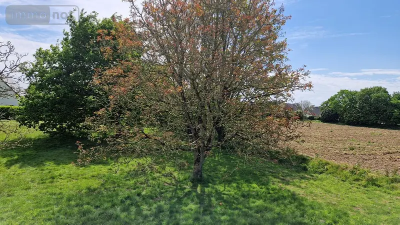 photos