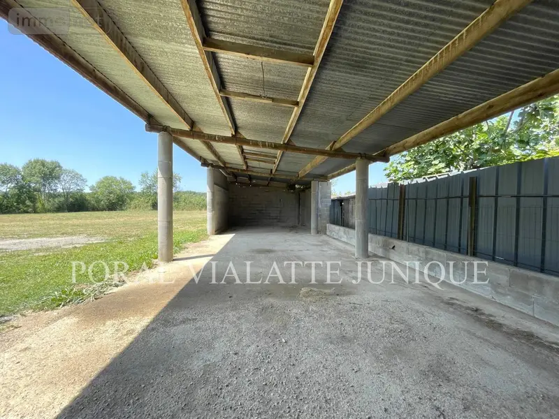 photos