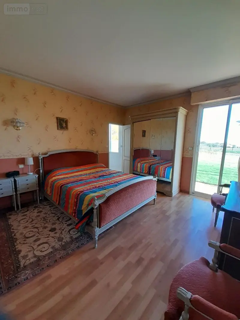 photos