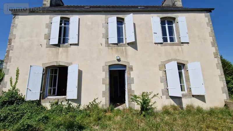 photos