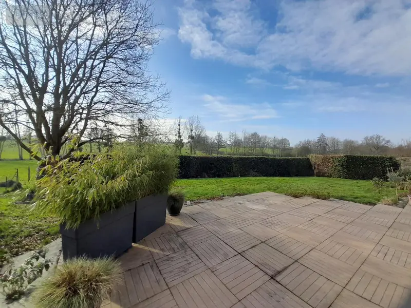 photos