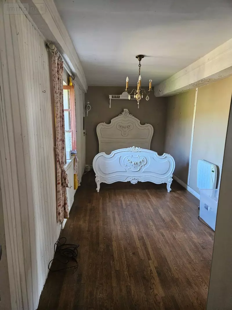 photos