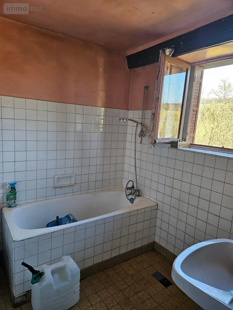 photos