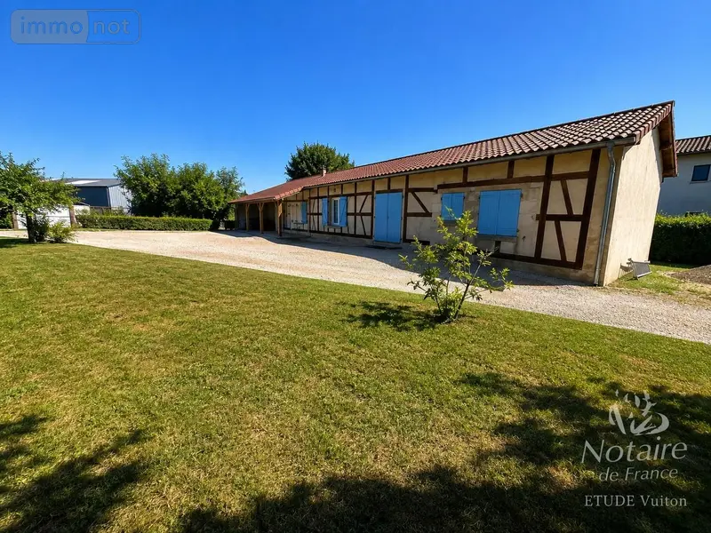 photos