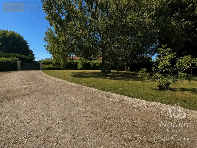 photos