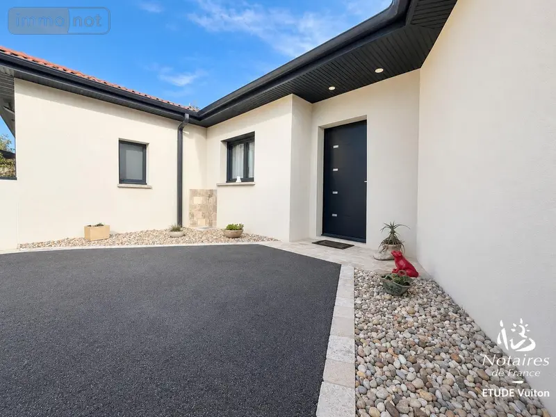 photos